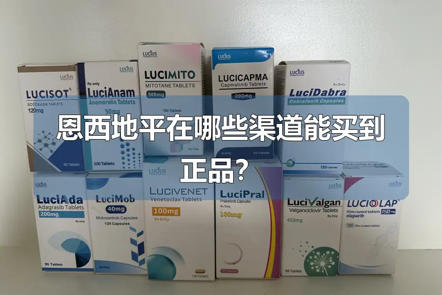 恩西地平在哪些渠道能买到正品？