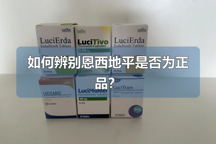 如何辨别恩西地平是否为正品？